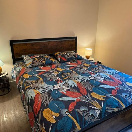 Residence Bois Du Bouchet, Appartement Vue Montagne, Calme, Parking Gratuit, Proche Centre Шамоні Екстер'єр фото