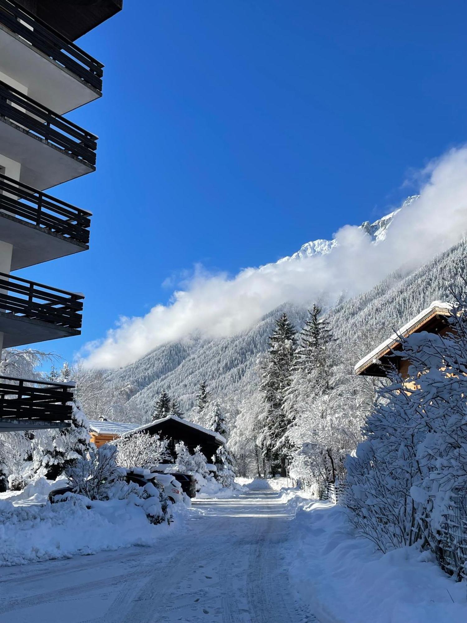 Residence Bois Du Bouchet, Appartement Vue Montagne, Calme, Parking Gratuit, Proche Centre Шамоні Екстер'єр фото